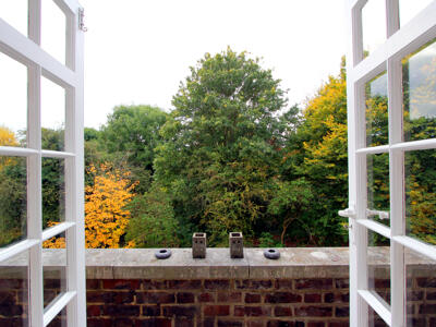Picture 9